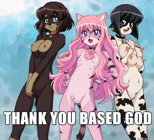 nyan tweet media