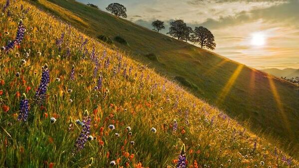 Gabriele_Corno's tweet photo. Spring! http://t.co/oIfRUngEUP