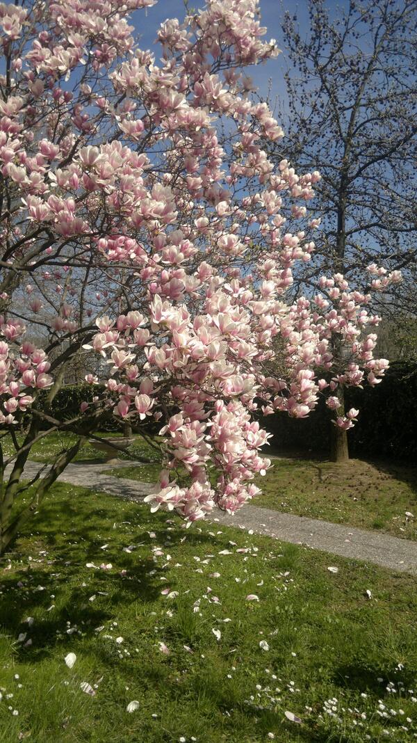 ...finally "spring season..."