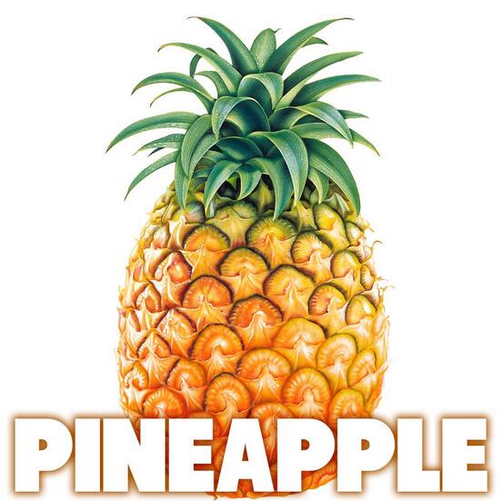 BBCR1's tweet photo. Apparently in the 18th Century, you could rent a Pineapple to take to parties?? #WhyhelloPineapple http://t.co/zqC6IFCPNe