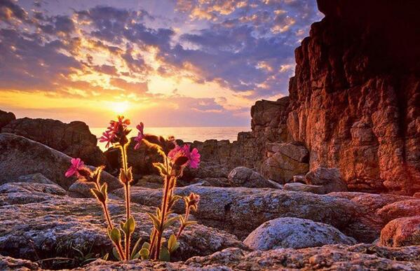 Gabriele_Corno tweet picture
