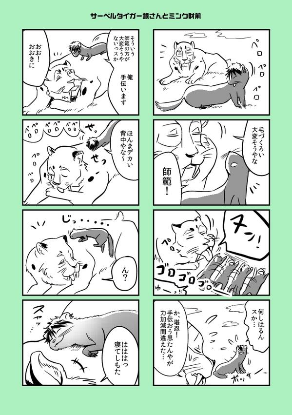 @C10AL コジューさんのケモノ銀光が好きすぎて、二次創作の二次創作をしてしまいました(;∀;) 