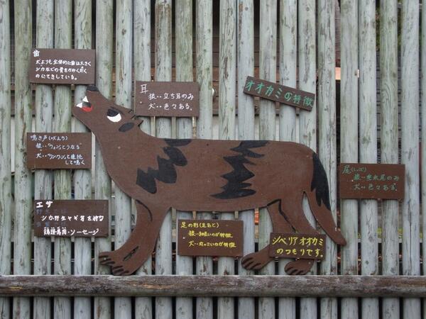 狼祭実行委員 とくしま動物園は 手作り 手書きの看板や動物 個体紹介が多いのが特色でもあると思います シベリアオオカミもこの通り 狼情報 Http T Co 5wjzkic81y