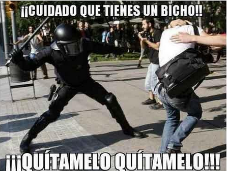 Imagenes en exclusiva de la policía ayer...