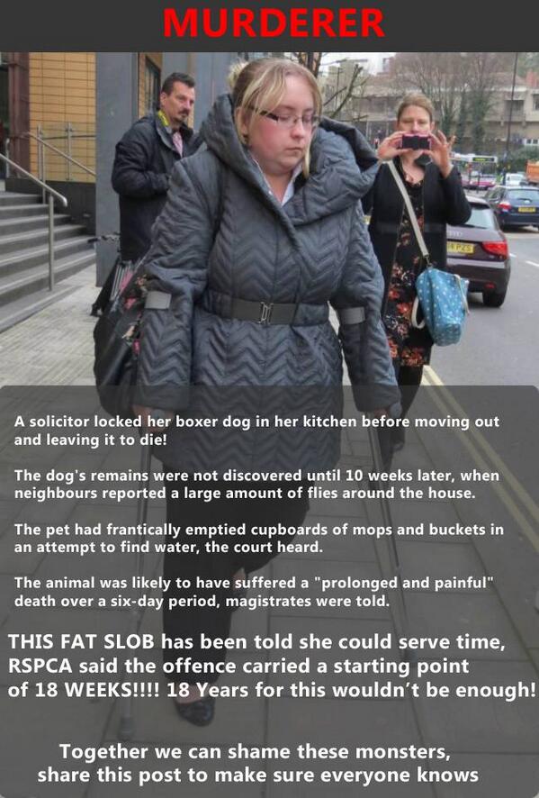 Free_FootieTips's tweet image. RT so everyone knows about this sick fuck