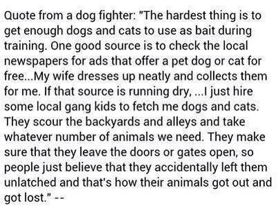RocketRescues's tweet image. -@siobhan266132 -@MaryWakulik -@examinercom #dogfighters #dogfights #quote
