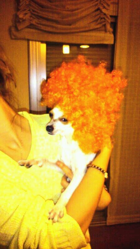 eellii_3's tweet photo. Mi marujita jiji @pumuky88 http://t.co/UJIzbURPLt