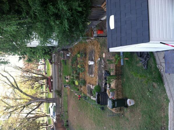 FarmFlow's tweet image. View of our Urban Farm from the upstairs patio. #FarmFlowYoga