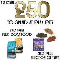 Peak Pets tweet media