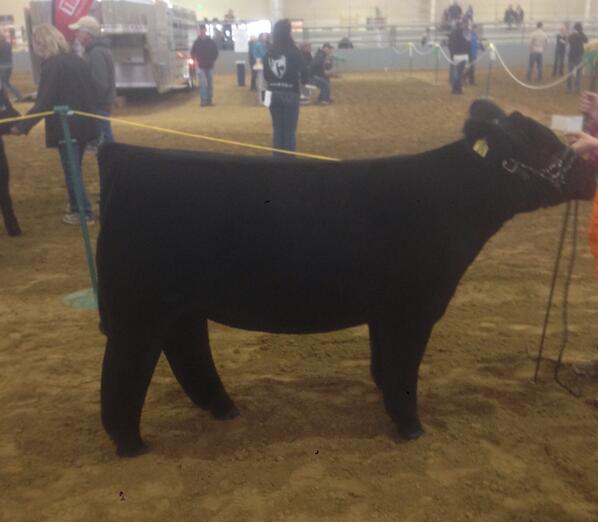 Blog | Lautner Farms | Experience the Lautner Farms Value Guarantee today!  Offering only the BEST. | Page 687