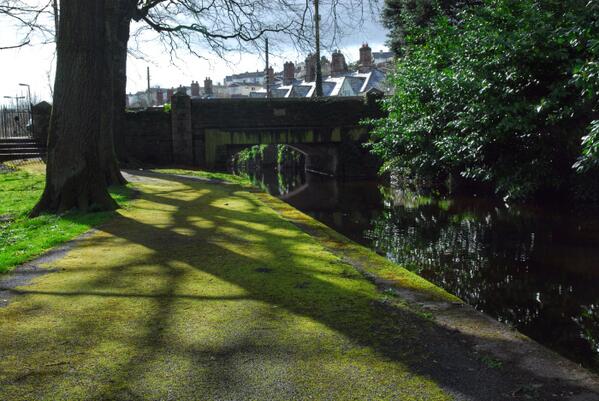 RachelBurch2's tweet image. Tavistock canal today #Devon