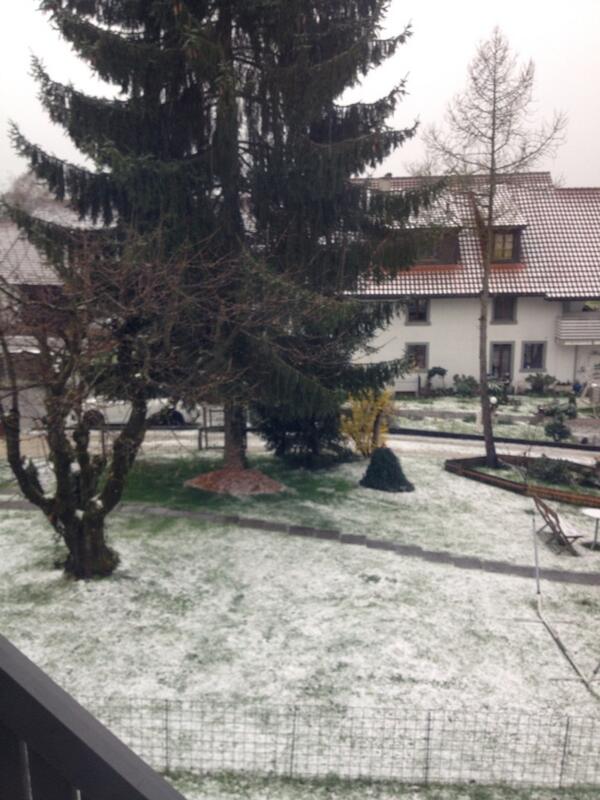 Zima wróciła  ....