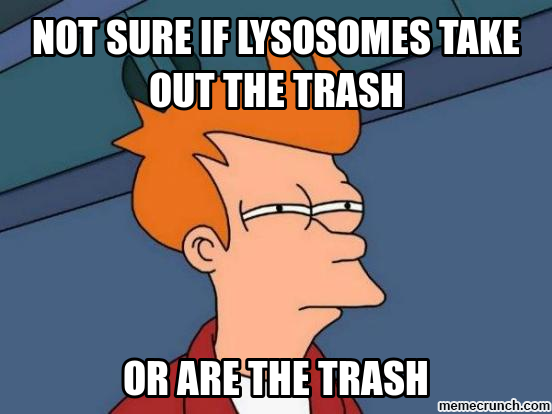 CENTRALVACU0LE's tweet photo. @ZachChevalier #organelleelectionKHS2014 http://t.co/gRxVADKXPg