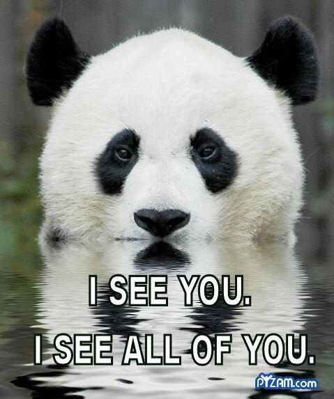 ImMrPanda tweet picture