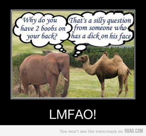 SusHumor's tweet image. 