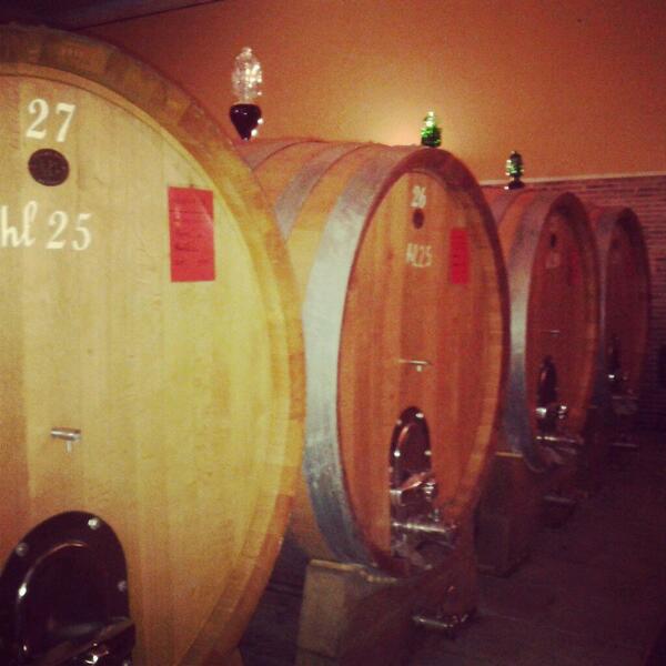 Federica Barbera tweet media