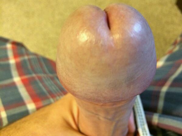 Me darias una rica mamada ??