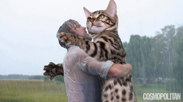 Cosmopolitan's tweet photo. The 8 sexiest movies of all time...with CATS! http://t.co/WkAjQLLVEN http://t.co/RMkBuRDPqM