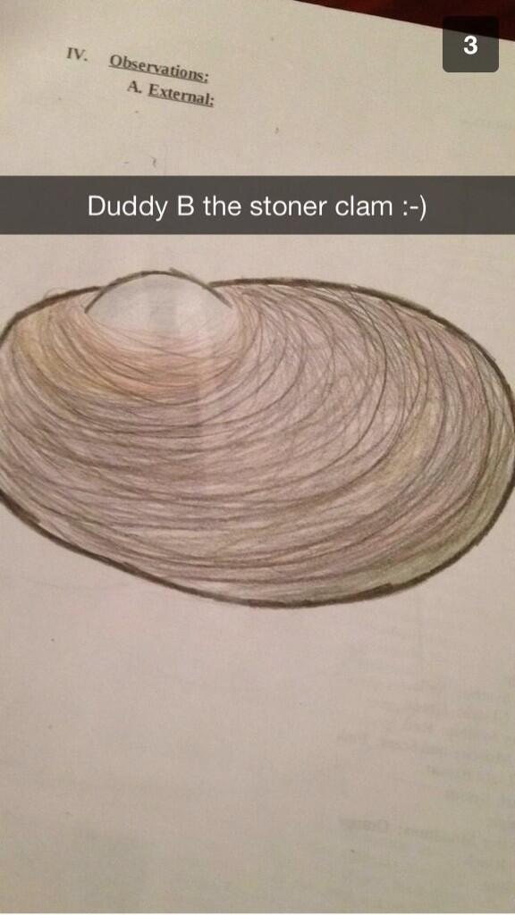 anne_hartman_'s tweet image. @DuddyB @christina_fanti we named  the clam we dissected after you... #truefans #weirdfans @dirtyheads