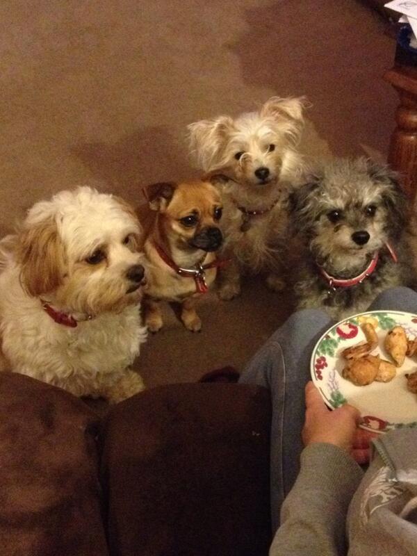 Letitbee's tweet image. 