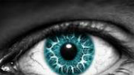 ACaadas tweet picture