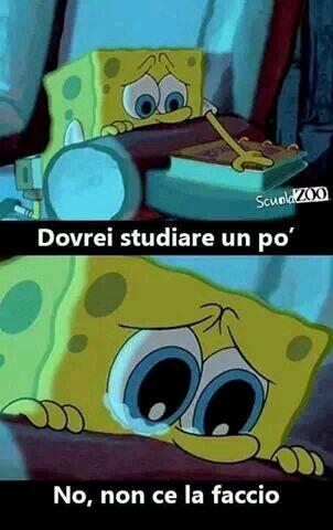 Daniana_Romero's tweet image. Io tutti i giorni XD