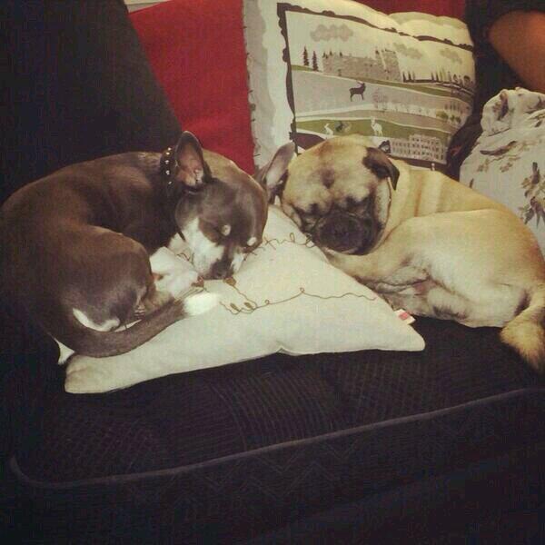 Edwardss_Perrie's tweet photo. Family <3 http://t.co/yMjcGdOWA6