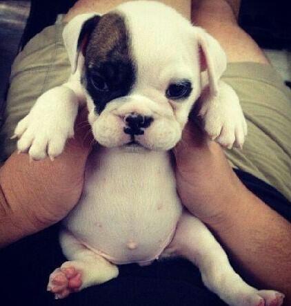 just_jilliannn's tweet image. Where ever you are, I will find you, love you, squeeze you, snuggle you and never let you grow up.  #NEEDNEEDNEED