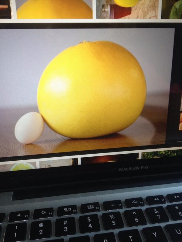 renee_schmaltz's tweet image. @maxkry99 here's the size of what a "13.5kg grapefruit" would look like. #physics #question9 #what #dontask