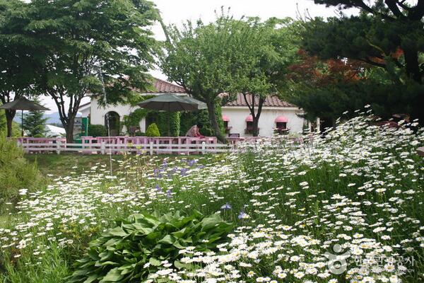 Kor_Visitkorea tweet picture