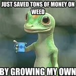 Photo by BuddSunnyDaysGrowers (@BuddSDG)