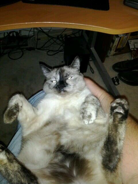 monkeymb's tweet photo. @Saracen26128 @bawbmills @superjoebob I think mine's broken. http://t.co/bSorKO9lgK