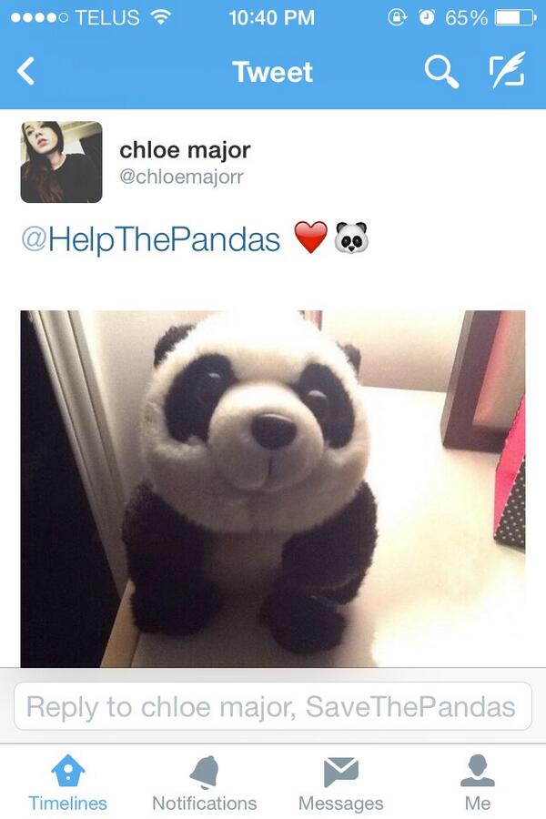 HelpThePandas's tweet image. Aww! Imagine how much cuter a real baby panda is! 😍 Thanks for your support Chloe!