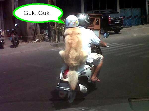 rewo_rewoo tweet picture