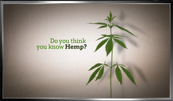 IsomAdvanced's tweet image. View: Social Sails - Above The Ignorance.  About the first legal CBD hemp oil based MLM... manta.com/t/PmzOqt