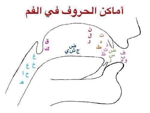 NOOR_660's tweet photo. أماكن الحروف في الفم !!!!!! http://t.co/kObN2MucfS
