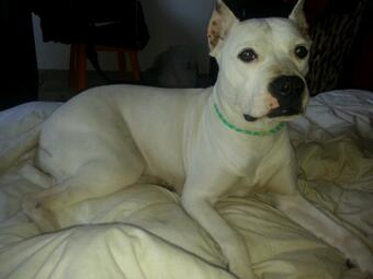 Mi noa con el collar de gomitas que le ha echo mi hija Evelyn jejeje va to fashion ahora Jajajaja http://t