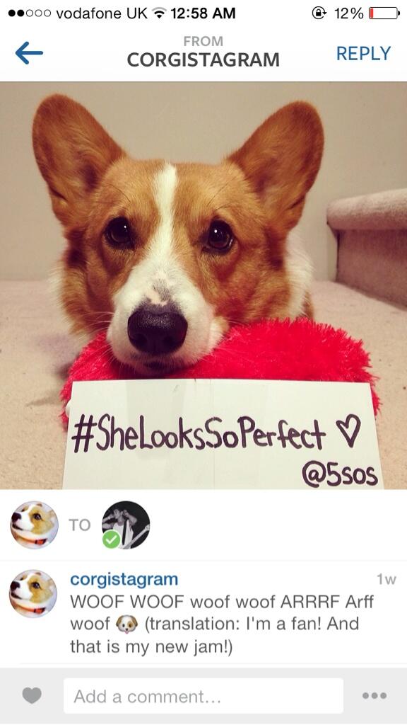 5SOS's tweet photo. Lol I got this in the little inbox thing on Instagram ! Haha made my day - cal x http://t.co/zY9278M4TB