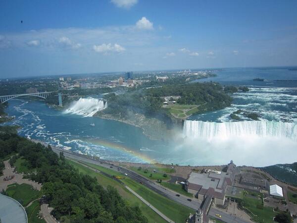 The Cult Cat (@elverojaguar) on Twitter photo 