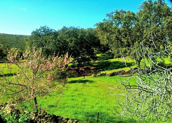 CasaRuralP's tweet photo. Ya está aquí la primavera, la época más bonita para disfrutar de la naturaleza #turismorural http://t.co/fyxGyCiE6h