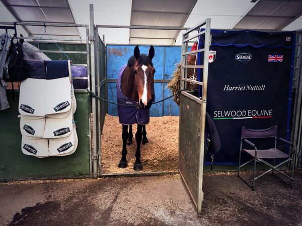 @SelwoodEquine Rubabell Cruise very happy this morning in Valencia