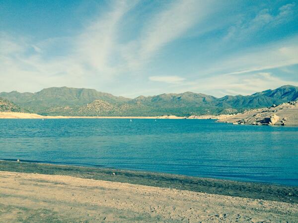 Dis_Michael tweet media