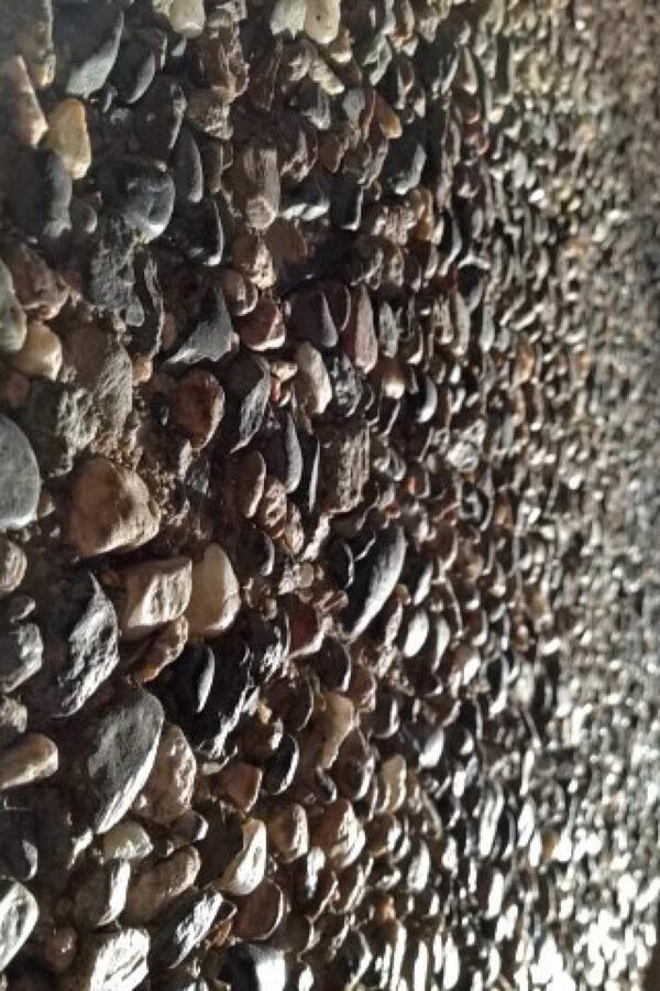 Dis_Michael tweet media