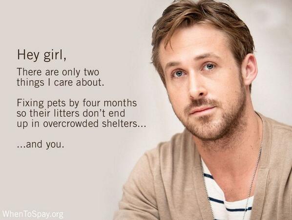 carolsferals's tweet photo. Got your back, too! Spreading @HumaneAlliance #whentospay funnies @ASPCA http://t.co/n5F0xJ92lo 
 #spay/#neuter http://t.co/0iEBkRvLRD