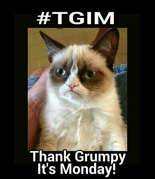 markofhalloween's tweet photo. @wfaachannel8 @WFAAalexa @roncorning  #TGIM #WFAA Happy MOAN-Day! http://t.co/038mb5ZmiE