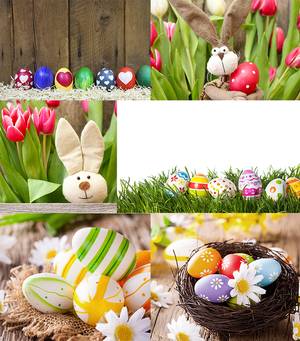 CHSchokogramm's tweet photo. Neue Ostermotive für Eure Ostergrüsse - http://t.co/Hyw2G4DV5v http://t.co/DINZvo3CLk