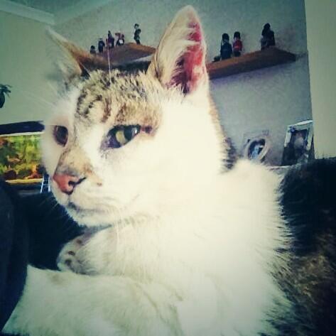 My lil cutie! #ilovehim #cute