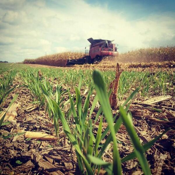 CountrySpec's tweet image. 