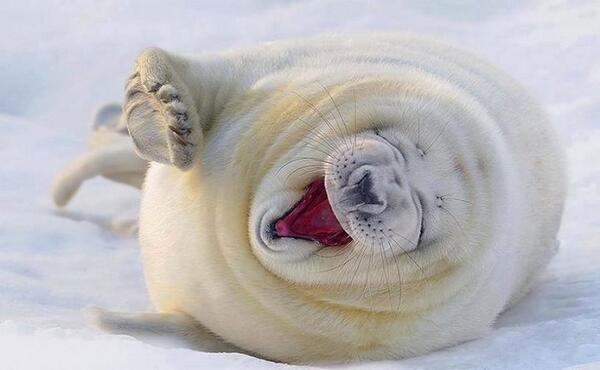 MuyAdorables's tweet photo. JAJAJAJAJAJAJAJAJAJAJAJAJAJAJAJAJAJAJAJAJAJAJAJAJAJA

¡Me parto! http://t.co/sRiZ9LftHH