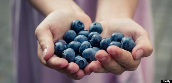 StopDiabetes3's tweet image. Blueberries help to regulate the release of sugar and lower blood pressure. Visit bit.ly/reverse-your-d…